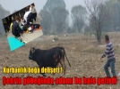 Kurbanl�k bo�a deh�et sa�t� 
