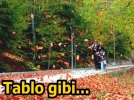 Abant'ta sonbahar g�zelli�i