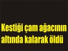 �am�n alt�nda can verdi