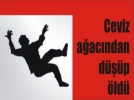 �� metre y�kseklikten d��t� hayat�n� kaybetti