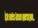 Bolu polisinden dev uyu�turucu ve ka�ak��l�k operasyonu