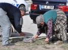 Abant�ta kestanecilere uyar� geldi 