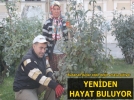 Budanan dallar geri d�n���mde