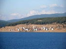 Be�ikta� kesin karar�n� verdi:  �Tesis Bolu�ya yap�lacak�