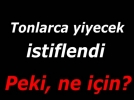 Yaban hayata destek
