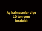 Y�lk� atlar� k�� mevsiminde a� kalmayacak
