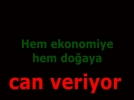 Hem ekonomiye hem do�aya can veriyor