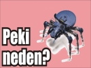 Emniyet yasa d��� dinleme iddialar�n� takibe almad�!