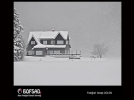 BOFSAD'da 5 Ocak 2013 g�n�n foto�raf� 