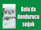 7 metrelik sark�tlar olu�tu