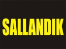 Bolu'da deprem