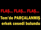 Tem�de par�alanm�� erkek cesedi bulundu