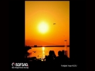 BOFSAD'da g�n�n foto�raf�