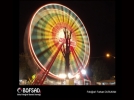 BOFSAD'da g�n�n foto�raf�