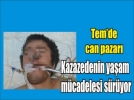 Tem�de can pazar�!