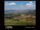 BOFSAD'da g�n�n foto�raf�