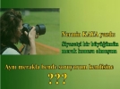 B�y�k T�rkiye �K���K ��LERLE� kurulamaz!