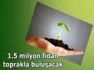 Bir bu�uk milyon fidan toprakla bulu�acak