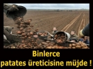 Patates �ift�isine m�jde!