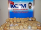 Bolu polisi ge�it vermedi