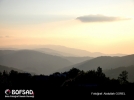 BOFSAD'da 25 Ocak 2013 g�n�n foto�raf�