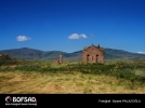 BOFSAD'da 27 Ocak 2013 g�n�n foto�raf�