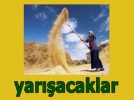Kad�n �ift�iler yar��acak