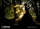 BOFSAD'da  29 Ocak 2013 g�n�n foto�raf�