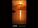 BOFSAD'da g�n�n foto�raf�