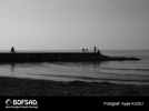 BOFSAD'da 1 �ubat 2013 g�n�n foto�raf�