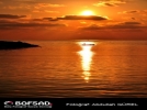 BOFSAD'da 2 �ubat 2013 g�n�n foto�raf�