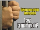 �zg�rl�klerine kavu�tular