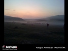 BOFSAD'da 3 �ubat 2013 g�n�n foto�raf�