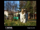 BOFSAD'da g�n�n foto�raf�