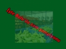��te Bolu�nun zam �ampiyonu