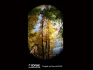 BOFSAD'da g�n�n foto�raf�