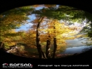 BOFSAD'da 10 �ubat 2013 g�n�n foto�raf�