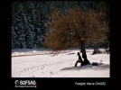 BOFSAD'da g�n�n foto�raf�