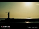 BOFSAD'da 13 �ubat 2013 g�n�n foto�raf�