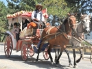 Araplar Bolu'yu �ok seviyor
