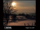 BOFSAD'da g�n�n foto�raf�