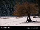 BOFSAD'da 14 �ubat 2013 g�n�n foto�raf�