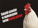 B�TMEYEN ��LE �ALI�TAYDA MASAYA YATIRILIYOR