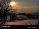 BOFSAD'da 16 �ubat 2013 g�n�n foto�raf�