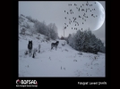 BOFSAD'da g�n�n foto�raf�