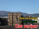 Hem ekonomiye hem do�aya can veriyor