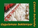 Kanatl� at�klar�na ��z�m bulundu