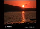 BOFSAD'da g�n�n foto�raf�