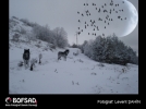 BOFSAD'da 19 �ubat 2013 g�n�n foto�raf�