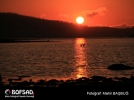 BOFSAD'da 21 �ubat 2013 g�n�n foto�raf�